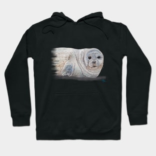 Snowy Seal Hoodie